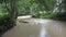 Muddy River after a Stormy Day in Mountains, Creek on Raining Day, Spring Brook, Stones, Rocks, Nature View