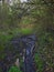 Muddy road in rural path at the forest with creek