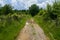 Muddy rural road in the countryside