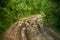 Muddy rural road in the countryside