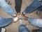 Muddy shoes and feet after a group hike