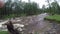 Muddy stream in the bed of a turbulent stream during the flood after heavy rains in the Sayan mountains in the valley of the river