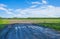 Muddy tire tracks on a dirt road to an agricutural field below a blue cloudy sky in sunlight in spring