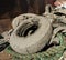 Muddy Tires in a Dumpster Collected After A Cleanup Event