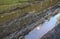 Muddy tracks with puddles on wet muddy surface in forest path