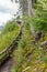 Muddy uphill hike in Alaska