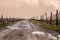 Muddy Wet Countryside Road In National Park Llanganate