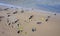 Mudflat Hike footprints at North Sea in North Frisia Germany