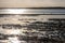 Mudflats at dusk with lens flare and far off coast at other side of bay with water birds wading through the shallows