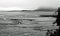 Mudflats at Low Tide on a Foggy Day in black and white