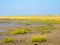 Mudflats at low tide and people riding bikes on on West Frisian island Schiermonnikoog, Netherlands