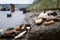 Mudlark Findings on the Thames