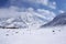 Mudoro field in November with snow mountain background