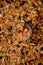 Muesli in glass. Close up. From above.