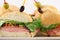Muffaletta finger food sandwich