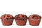 Muffin chocolate chip cup cakes isolated white background