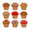 Muffin Icon Set. Blueberry, Chocolate and Cherry Cupcake. Vector