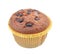 Muffins, homemade cupcakes in a paper tray. Chocolate chip muffin. Selective focus. Isolated white