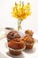 Muffins and orchids