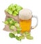 Mug of beer and hops