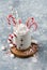 Mug with candy canes and marshmellows