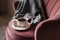 Mug of coffee with knitted sweater stay in accent chair in room closeup. Good morning. Breakfast