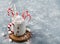 Mug with marshmellows and candy canes