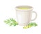 Mug Poured with Wormwood or Southernwood Plant Herbal Tea Vector Composition