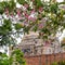 Mughal Architecture inside Lodhi Gardens, Delhi, India, Arches Inside the The Three-domed mosque in Lodhi Gardens is said to be