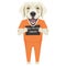 Mugshot prison clothes dog Golden Retriever