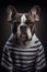 Mugshot of wanted dog in prison, french bulldog in jail clothes, Generative AI