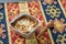 Muhallebi rise pudding on traditional carpet with spoon