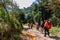 Mulayit Taung,Moei Wadi,Myanmar. NOVEMBER 9,2019: Hikers are trekking  to the peak of mount mulayit