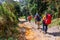 Mulayit Taung,Moei Wadi,Myanmar. NOVEMBER 9,2019: Hikers are trekking to the peak of mount mulayit