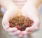 Mulberries fruit on kid hand