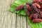 Mulberry balls on mulberry leaves, wood background