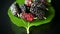 Mulberry berry with leaf isolated on black background