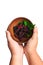 Mulberry fruit in wood bowl on hands, beautifully convey the love with mulberry.