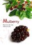 Mulberry (Morus)