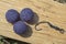 Mulberry Plum purple boilies with fishing hook. Fishing rig for carps, boilie rig, near the lake on a piece of wood