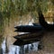 Mulberry reflecting in the lake next to parked boats in the middle of an autumn forest