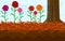 Mulch gardening concept with roses, red mulch and tree trunk.