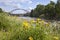 Mulde river in summer in Saxony-Anhalt