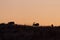 Mule Deer Silhouetted at Sunrise in Autumn