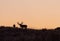 Mule Deer Silhouetted at Sunrise in Fall