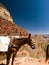 Mule in Grand Canyon, Arizona USA