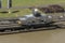 Mule Locomotive at the Miraflores Locks Panama Canal