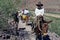 Mule trekkers pass a hiker, Grand Canyon, AZ, US