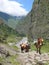 Mules in Budhi Gandaki valley