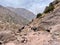 Mules carrying goods and luggage to Djebel Toubkal, High Atlas Mountain, Morocco.